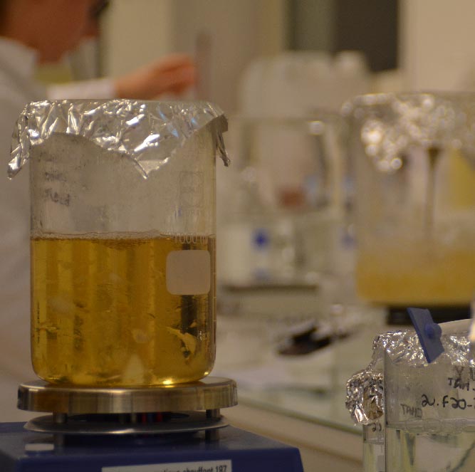 Phase 1 de décomposition tarifaire : développement d'un gel douche en laboratoire